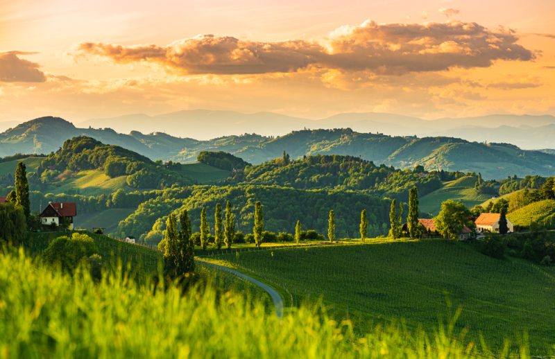 Farm to Fork: Die "landwirtschaftliche" Seite der EU-Biodiversitätsstrategie