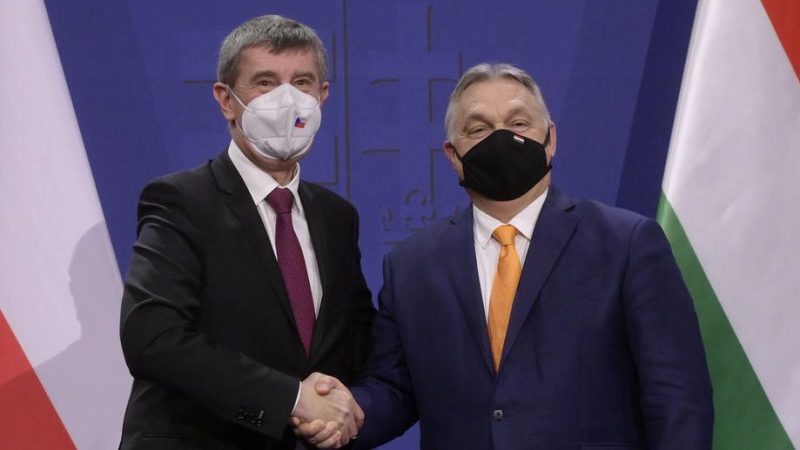Babis und Orban wollen sich in Israel über Impfungen informieren
