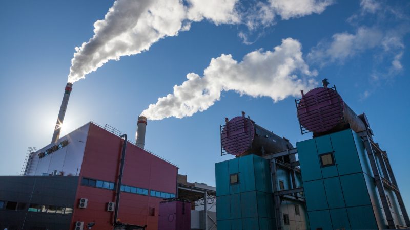 Lockere Bestimmungen für Bioenergie und Forstwirtschaft in der EU-Taxonomie