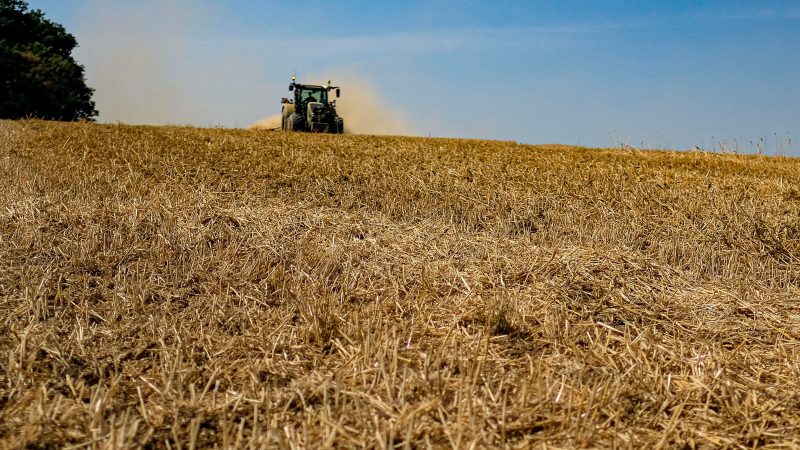 EU-Kommission genehmigt Vorschüsse für GAP-Direktzahlungen