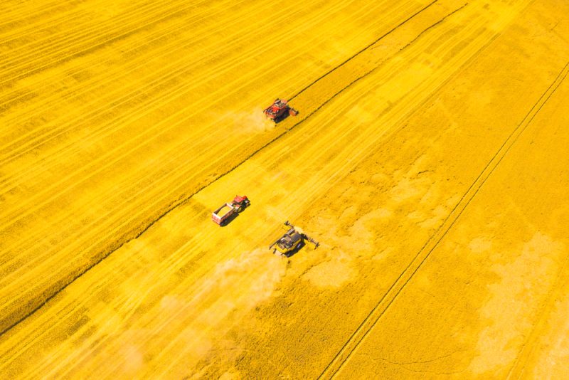Tschechischer Agrarverband warnt vor Benachteiligung von Kleinbauern und tritt aus EU-Verband aus
