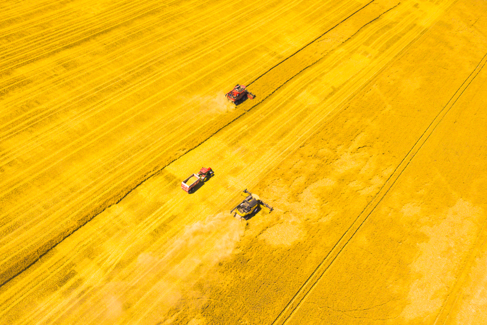 Aerial,View,Of,Harvest.,Combine,Harvesters,And,Tractor,Harvesting,Golden