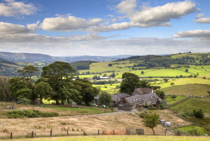 UK baut seine Landwirtschaftsregelungen um; Fachleute warnen vor Risiken