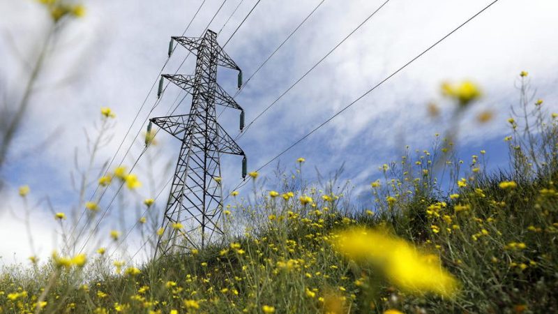 Nachhaltiger Strukturwandel im Energiesektor: Wie Unternehmen Profitabilität und Klimaschutz vereinen können