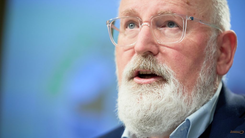 Timmermans close up