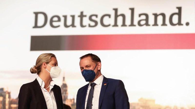 Die Entscheidung über das AfD-Spitzenduo wird zum Richtungskampf
