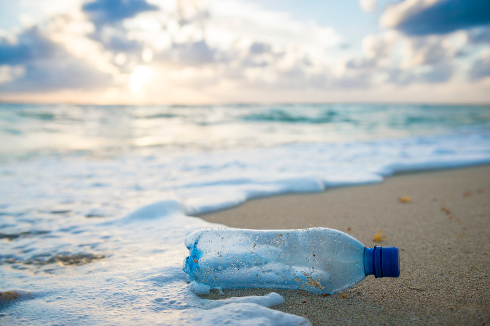 Used,Plastic,Water,Bottle,Washed,Up,On,The,Shore,Of