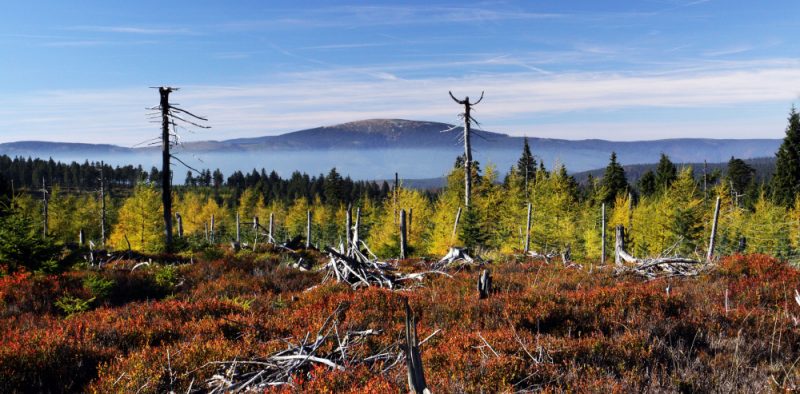 Nächster Umwelt-Streit zwischen Polen und Tschechien