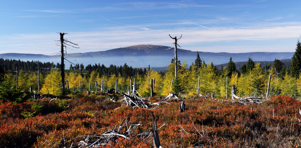 Autumn,Inversion,Under,Králický,Sn?ník