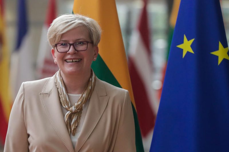 Litauen fordert mehr EU-Unterstützung bei Grenzsicherung zu Belarus