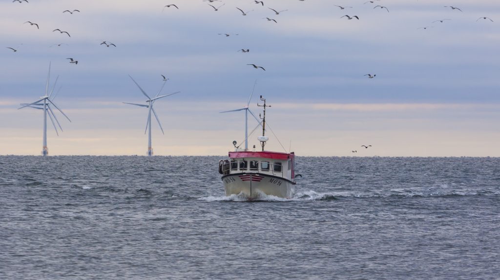 Fishing boat wind farm
