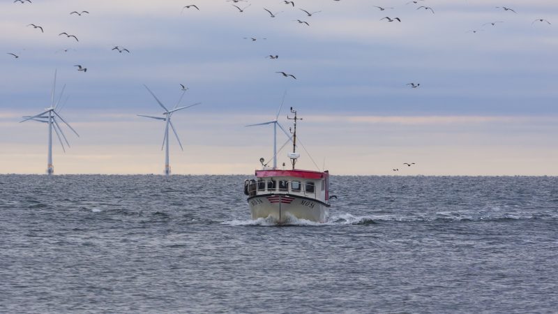 Fischerei droht Ausbau der Offshore-Windenergie auszubremsen