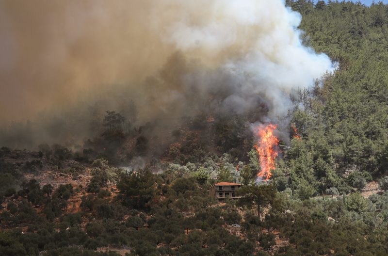 EU schickt Löschflugzeuge in Waldbrandgebiete in der Türkei