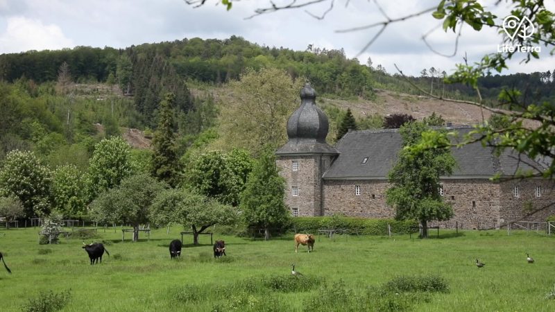 Life Terras erster "Klimawald" schlägt Wurzeln in Deutschland