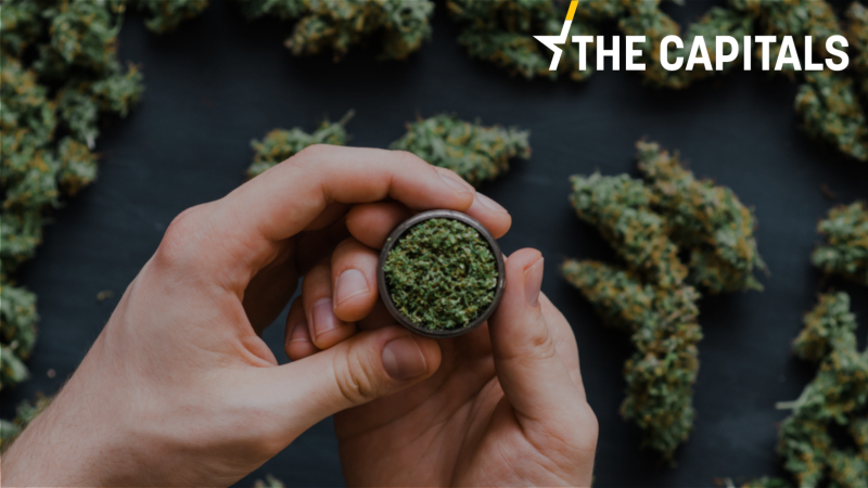 Italien nähert sich Referendum zur Entkriminalisierung von Cannabis