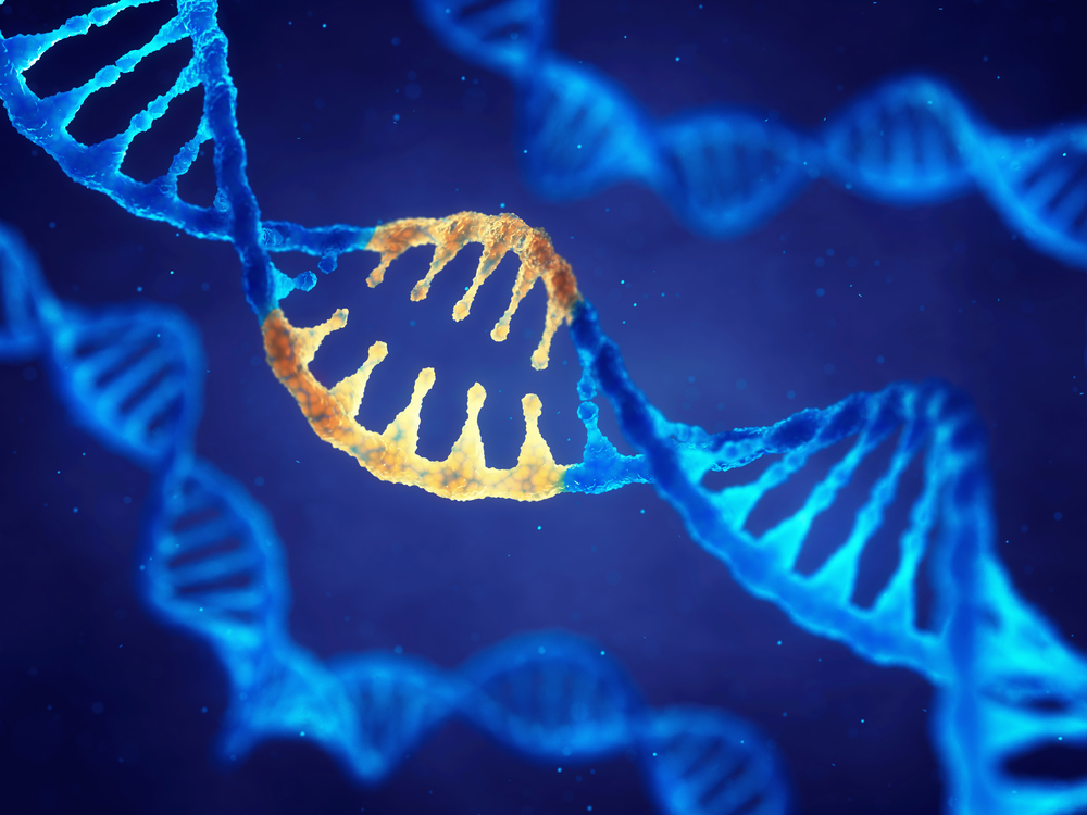 Doppelhelix-DNA-Molekül mit veränderten Genen, Korrektur der Mutation durch Gentechnik