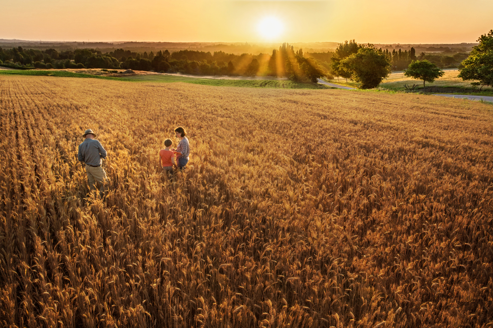 Top,View.,A,Farmer,,His,Wife,And,His,Son,In