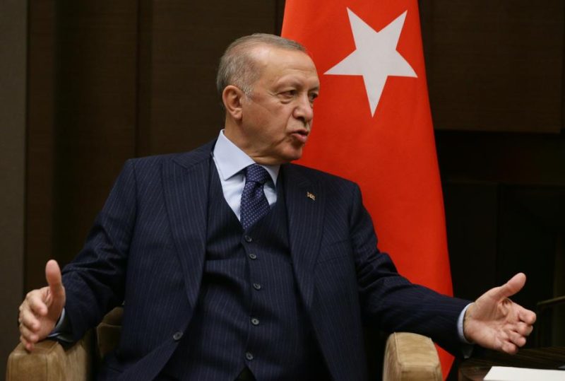 Erdogan droht mit Ausweisung des deutschen und neun weiterer Botschafter