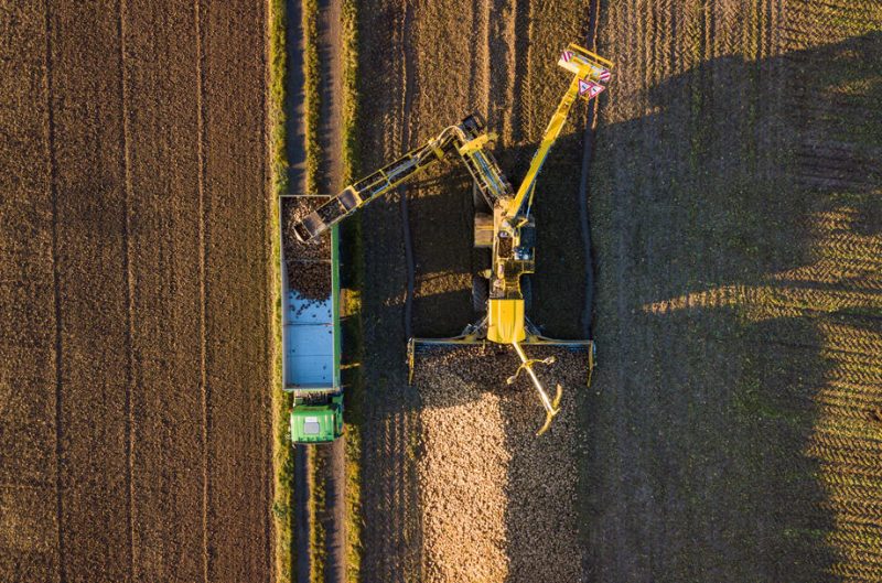 Sondierungsgespräche: Allianz aus Agrar- und Umweltverbänden fordert Umbau der Landwirtschaft