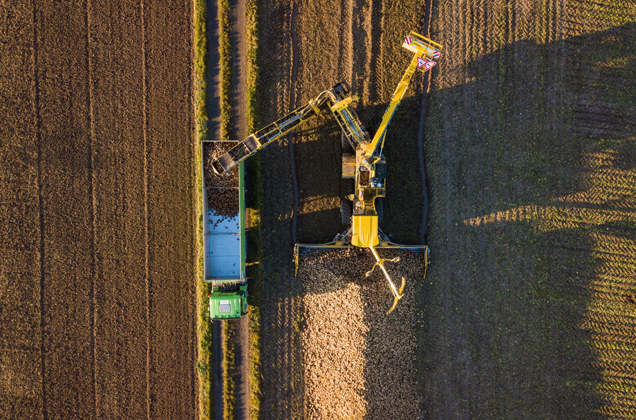 Sugar beet harvest in the Wetterau region, Hesse State
