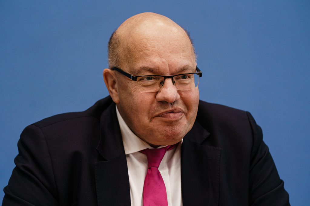 Fall projection of the German government