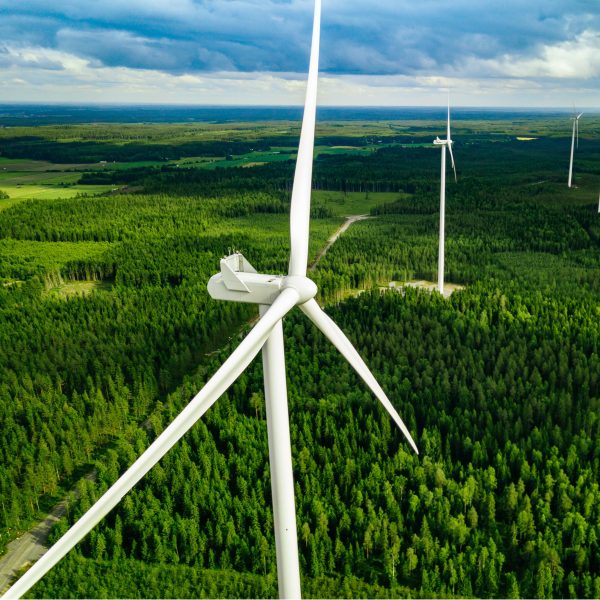 Erneuerbare Energien decken über die Hälfte der finnischen Stromerzeugung ab