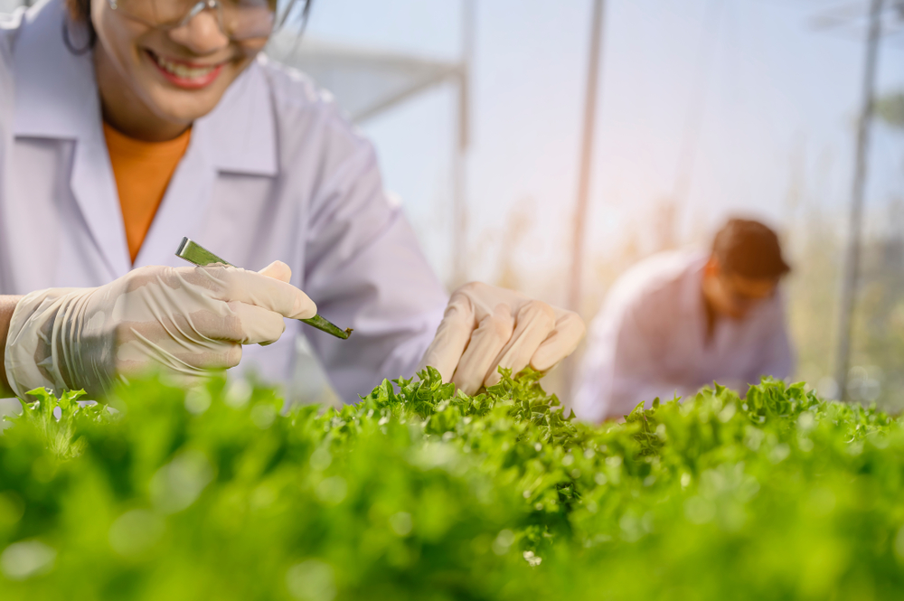 Agriculture,,Gardener,,Farm,,Harvest,,Vegetable,,Technology,Concept.,Close-up,Hand,Of