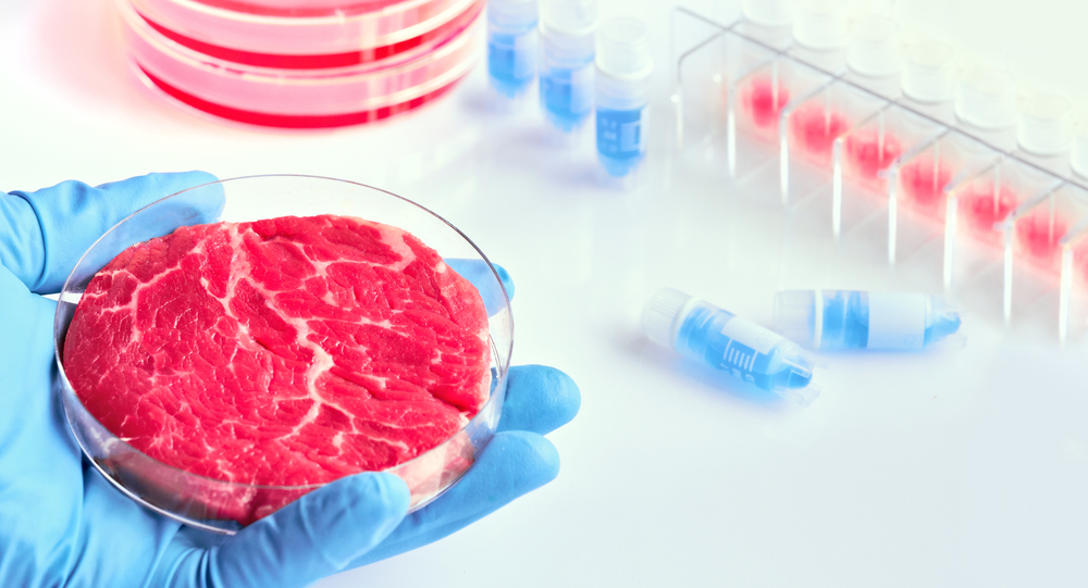 Hand,In,Glove,Hold,Meat,Sample,In,Plastic,Cell,Culture