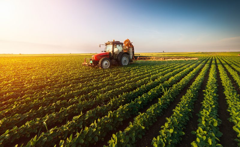 Landwirtschaftliche Entwicklung im Europäischen Aufbauplan in Deutschland