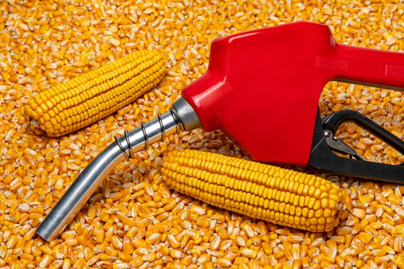 Neue Daten sehen Bioethanol als "kosteneffizientes" Instrument für klimafreundlichen Verkehr