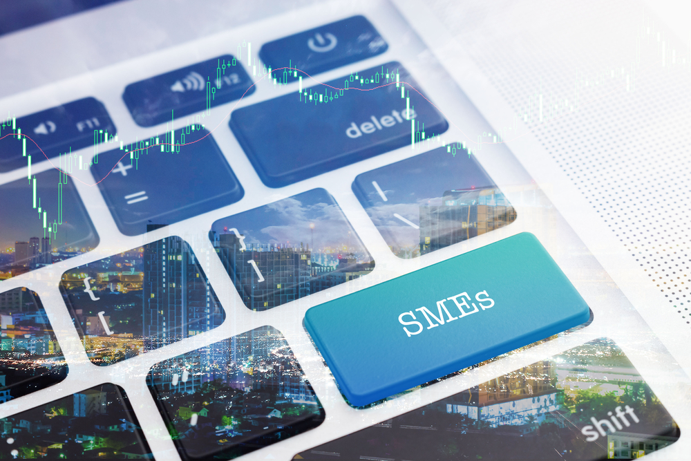 Smes,(small,And,Medium-sized,Enterprises):,Green,Button,Keyboard,Computer.,Double