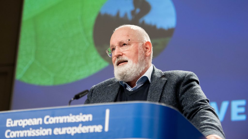 tIMMERMANS (11)