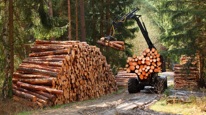EU-Länder sträuben sich gegen neue Biomasse-Regeln