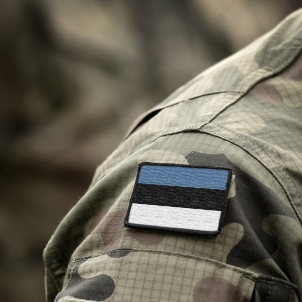 Estnischer Militärkommandant erwartet Krieg