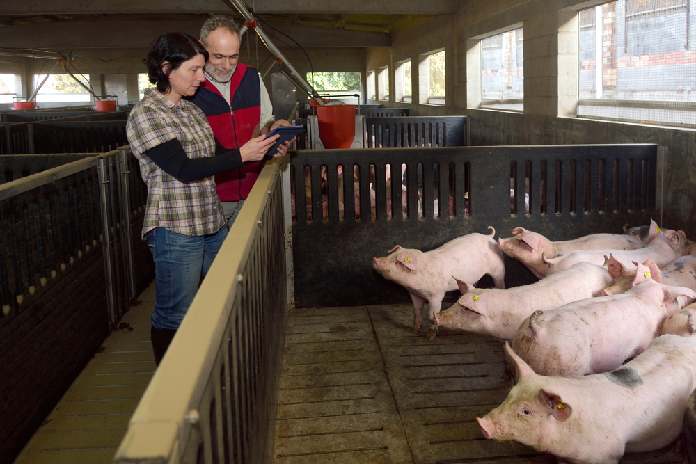 A,Couple,Of,Farmers,With,A,Digital,Tablet,Watching,The