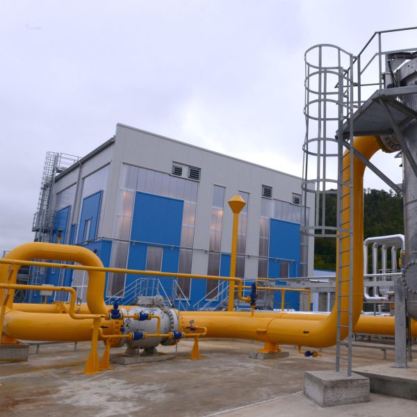 Bulgarische Gewächshäuser schließen wegen hoher Gaspreise