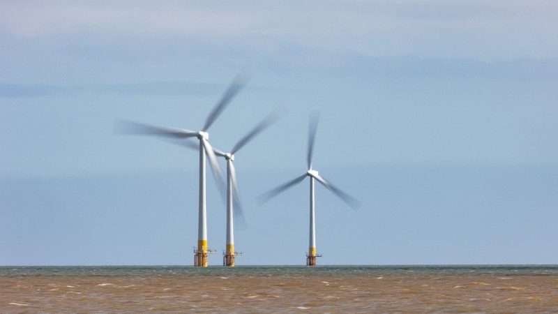 EU-Parlament will Ausbau von Offshore-Windkraft beschleunigen