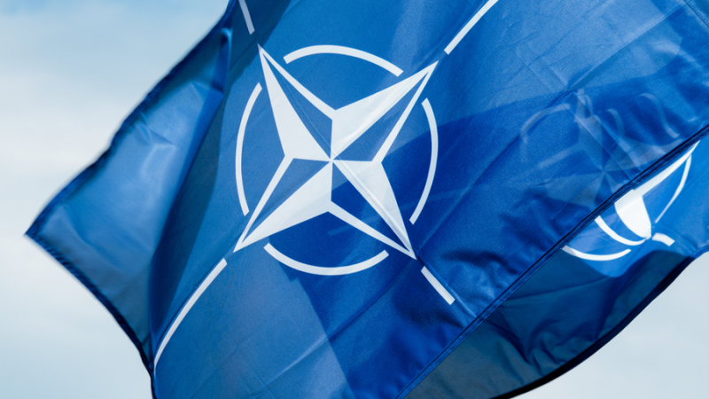 NATO-Beitrittskampagnen in Finnland und Schweden nehmen an Fahrt auf