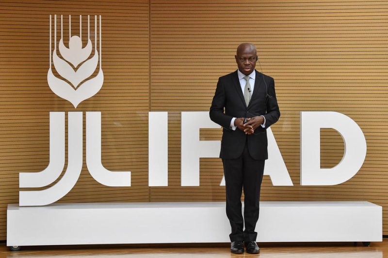 IFAD: Europas Ernährungssouveränität ist Afrikas Chance für mehr Eigenproduktion