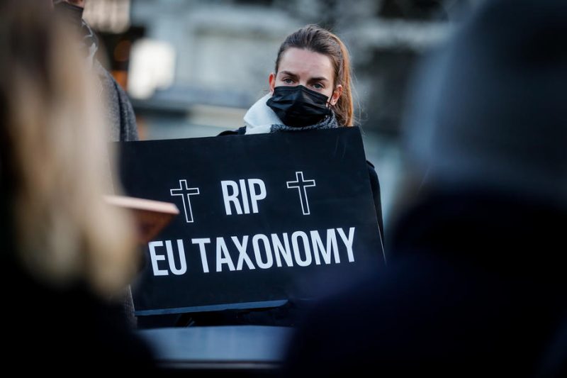 Taxonomie: Österreich und andere EU-Länder versuchen Grünes Label für Gas zu verhindern