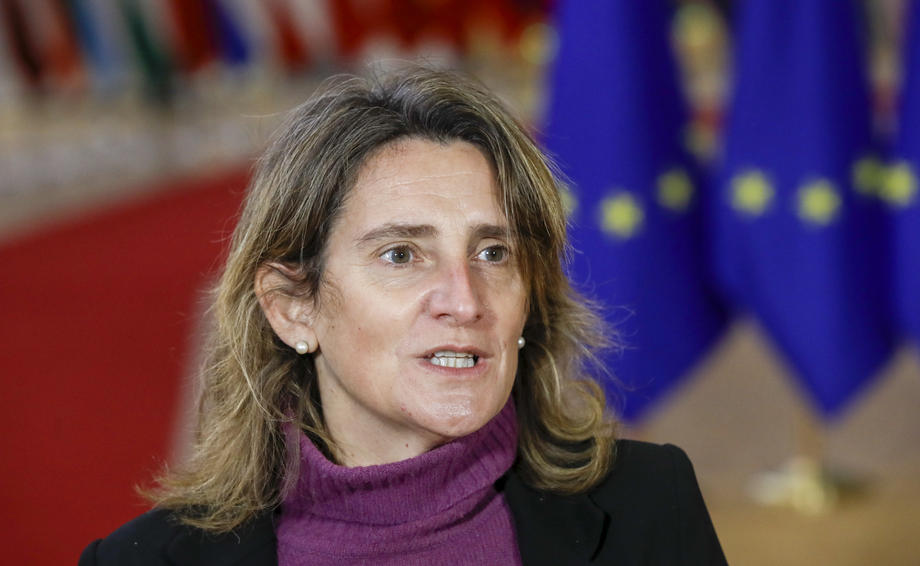 Activists protest ahead of the EU Environment ministers council