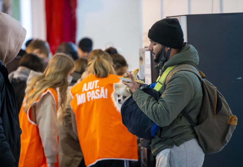 EU vereinfacht Einreise für Haustiere ukrainischer Flüchtlinge