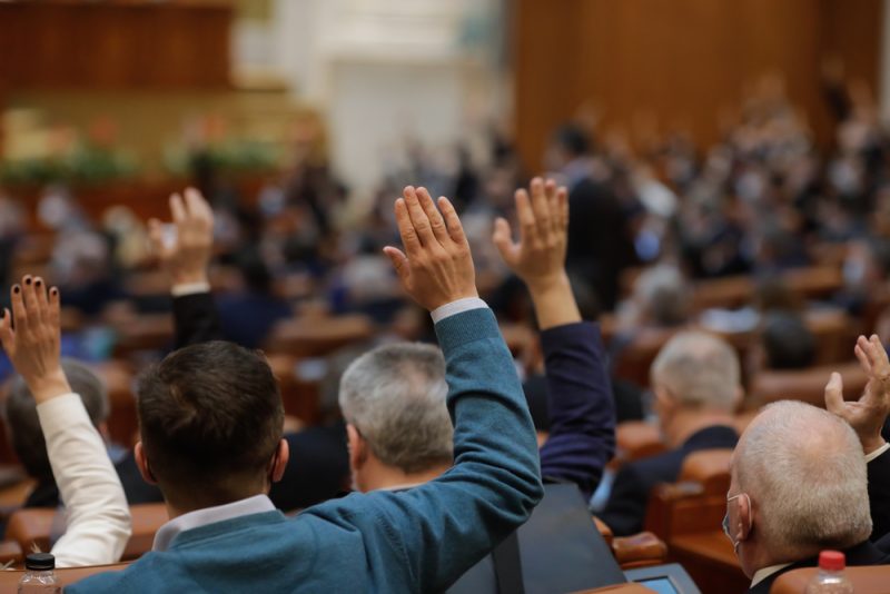 Partizipative Demokratie braucht klare Aufgabenteilung
