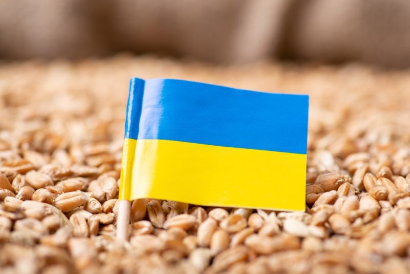 Bauernverbände tragen Russland-Sanktionen trotz ‘Herausforderungen’ mit
