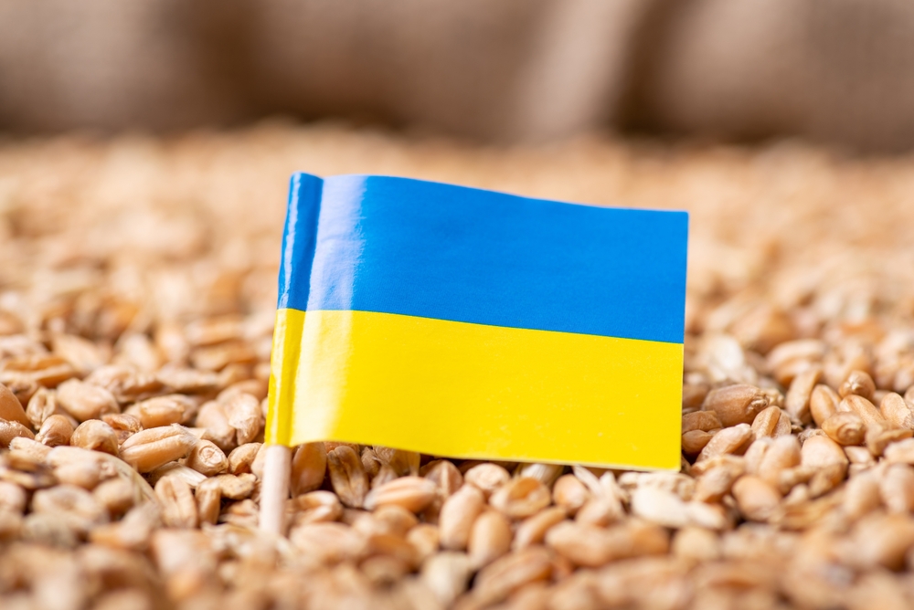 Flag,Of,Ukraine,On,Wheat.,Harvest,Of,Wheat,In,Ukraine