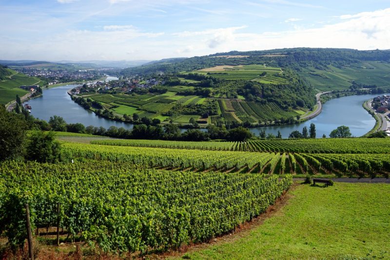 EU Agrarreform in Deutschland - Was lange währt, wird endlich gut?