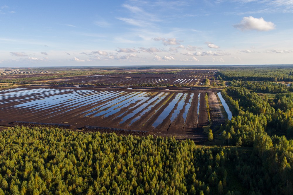 Aerial,View,Of,Drained,Peatlands,In,Estonia.