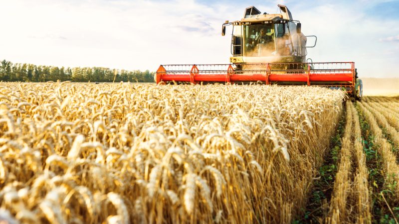 Ukraine-Krieg feuert Debatte um Biokraftstoffe und Ernährungssicherheit an