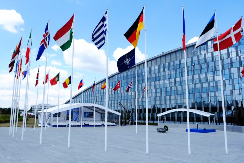 Schwedens Regierungspartei will Ende Mai über NATO entscheiden