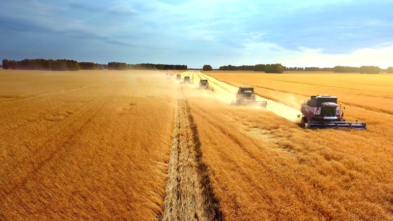 Was bedeutet der Ukraine-Krieg für die Ernährungssicherheit in der EU?